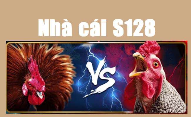 Một số lưu ý khi cược đá gà tại S128 để sớm có được phần thắng