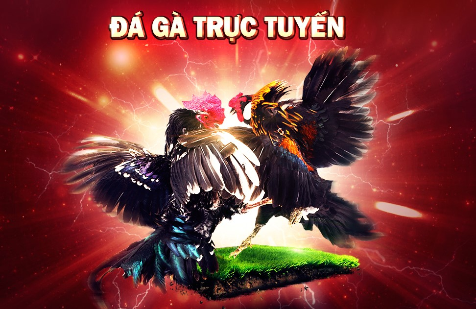 Tỷ lệ ăn tiền thắng cược cao