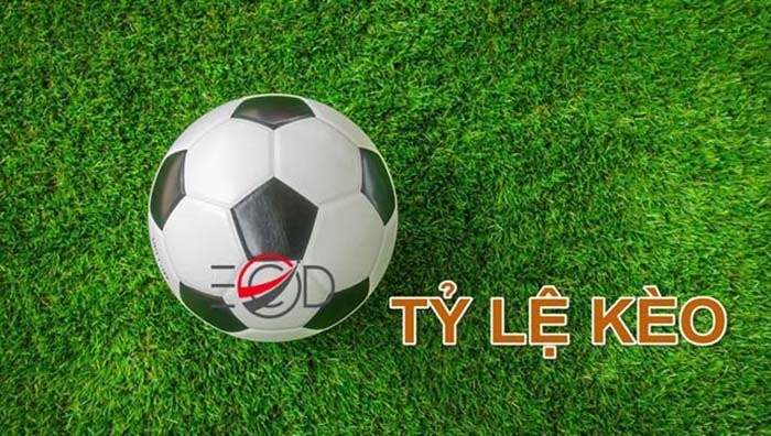 Những mẹo hay dự đoán tỷ lệ kèo cược trong cá độ bóng đá 