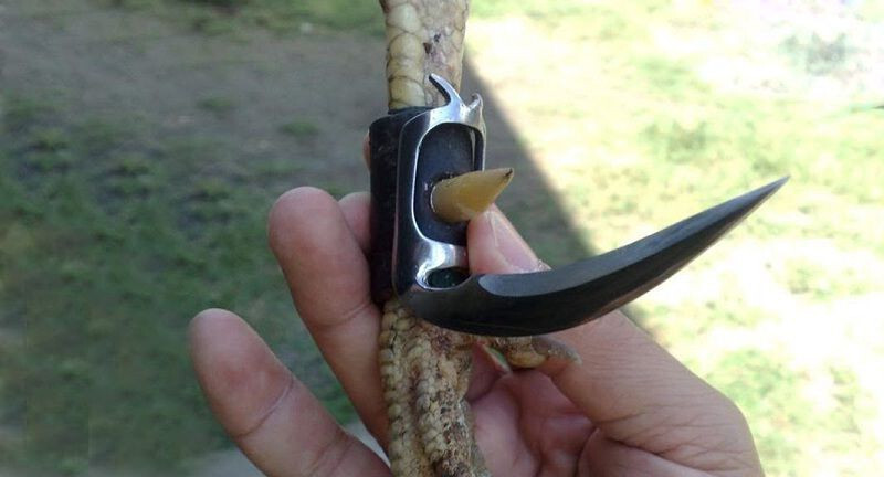 Cách lên cựa gà tre chuẩn xác nhất từ chuyên gia 5 Các loại cựa gà tre đá hiện nay
