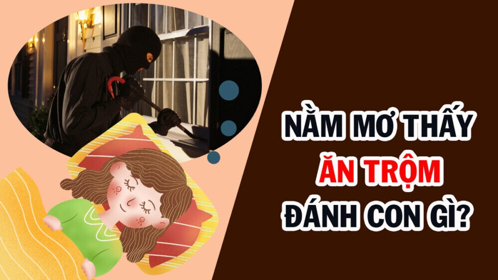 Ngủ mơ thấy ăn trộm báo hiệu điềm gì? Đánh số mấy? 9 Nằm mơ thấy ăn trộm đánh con gì?