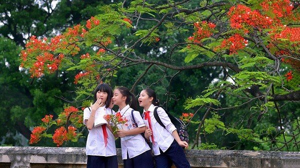 Nằm mơ thấy đi học trễ đánh con gì?